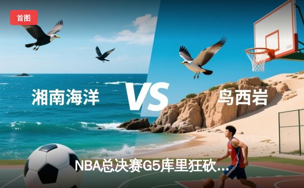 NBA总决赛G5库里狂砍43分创纪录 勇士客场逆转凯尔特人夺赛点